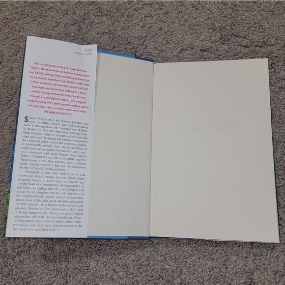 Mother on Fire Book A True Motherf%#$@ Story About Parenting by Sandra Tsing Loh - Picture 7 of 12